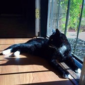 Noelle Wilson's photo
