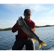 Barry Chapman's photo