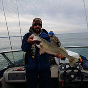 Nicholas Saum's photo