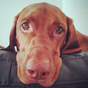Carmen Schleusz Salazar's photo