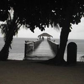 Foto von Lucy Rosa