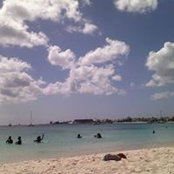 Joanne De Verteuil-Sankar's photo