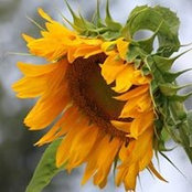Jennifer Lynn's photo
