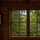 treecover