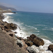 Sara Bouadjemi's photo