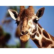 Rita Mercer's photo