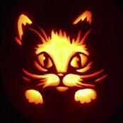 Laura Ford's photo