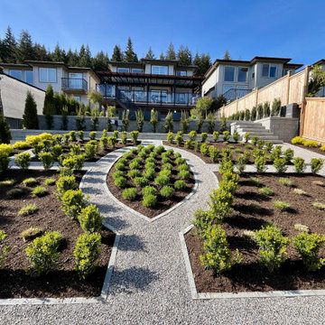 Formal planting in the lower garden