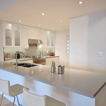 White Modern Kitchen