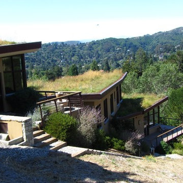 Award winning Mill Valley Green Roof gets a 'Re-do'