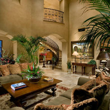 Living Room Ideas