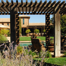 Garden - plants, design and structures