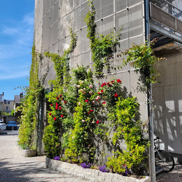 Façade végétalisée / Grimpantes / Mur Végétal Naturel