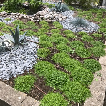Patio sur Chatou