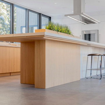 Natural Wood Themed Modern Kitchen in West Cambridge, MA