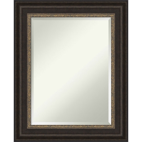 Paragon Bronze Beveled Bathroom Wall Mirror - 24.5 x 30.5 in.