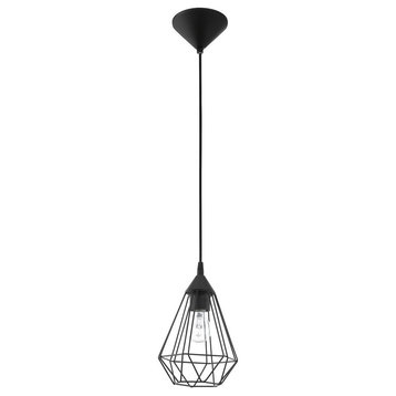 1x100W Cage Pendant With Matte Black Finish, 6.88", 6.88"