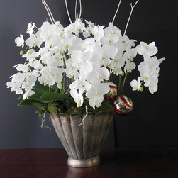 container gardens - Plants