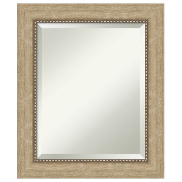 Astor Champagne Beveled Wall Mirror - 21 x 25 in.