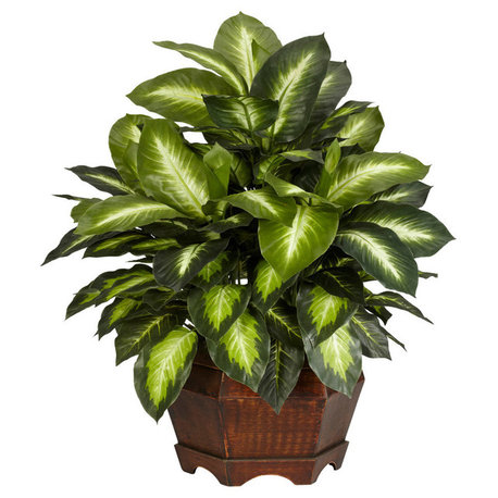 Golden Dieffenbachia Silk Plant