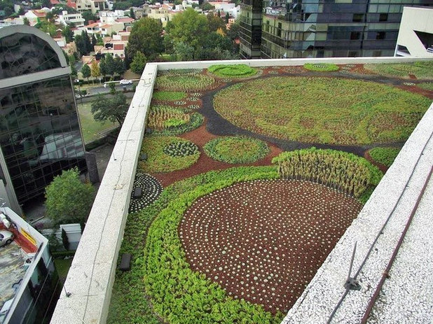 Cubiertas vegetales: 7 ventajas de tener un jardín en la azotea
