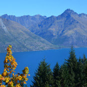Anne Burleigh's photo