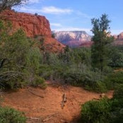 Sedona Living's photo