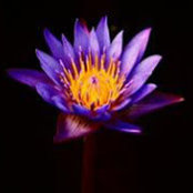 Miranda Taylor's photo