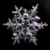 Elizabeth Larson Braml's photo