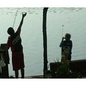 Susan Blanton's photo