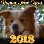 Sheree Aylett's photo