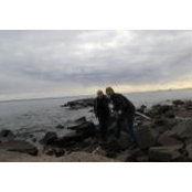 Taylors foto