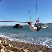 Gull Pavon's photo