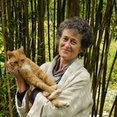 The Linen Shop's profile photo