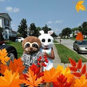 Donna Richards's photo
