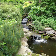 Outdoor ideas