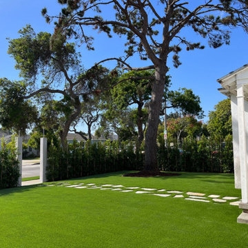 Modern Backyard Landscape with Privacy Hedge & Walkway | Santa Monica