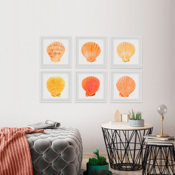 Sea Shells Wonder II Hexaptych