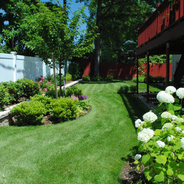 Backyard: A New Beginning