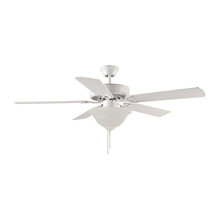 Lighting/Ceiling Fans