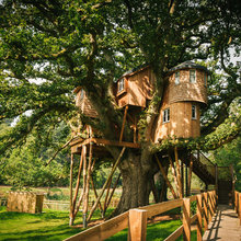 tree house