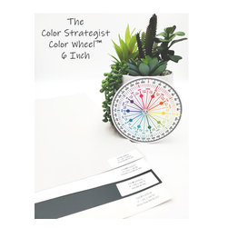 The Color Strategist Color Wheel - Paint