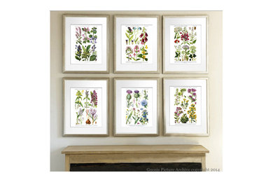 English Country Wild Flowers Art Prints for home decor