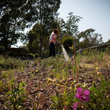 School Garden