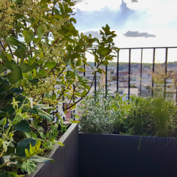 Là-haut - Terrasse