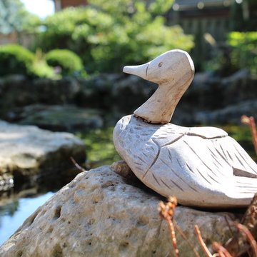 Backyard Pond