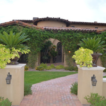 Silverleaf 1