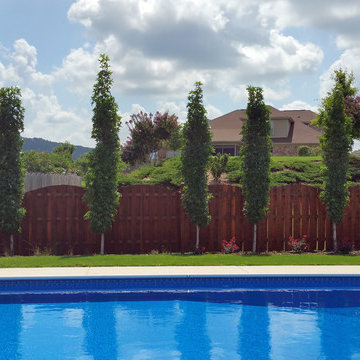 Fisher Residence
