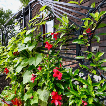 Brookline Edible Garden Paradise