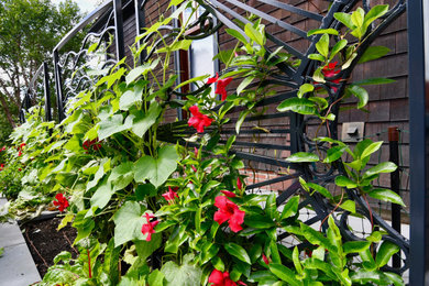 Inspiration for a contemporary landscaping in Boston.